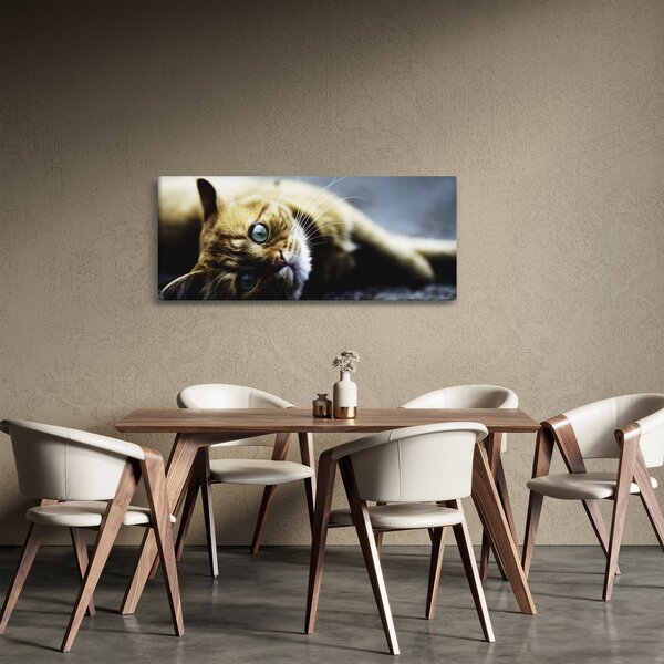 Slika mačke (120x50 cm)