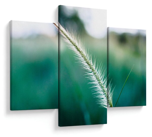 Slika vlati trave (90x60 cm)