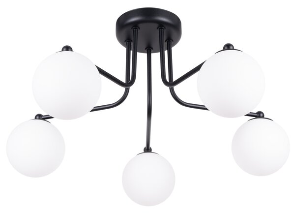 Luster ASTRAL 5 crni