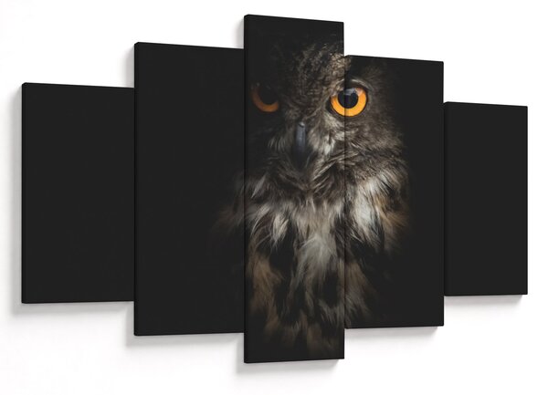 Slika sove (150x105 cm)