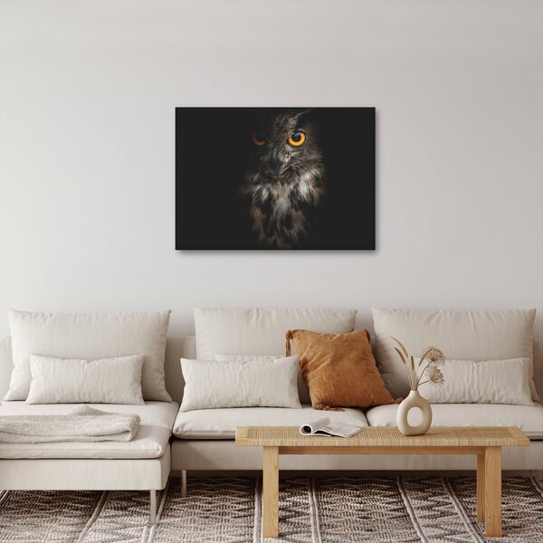Slika sove (70x50 cm)