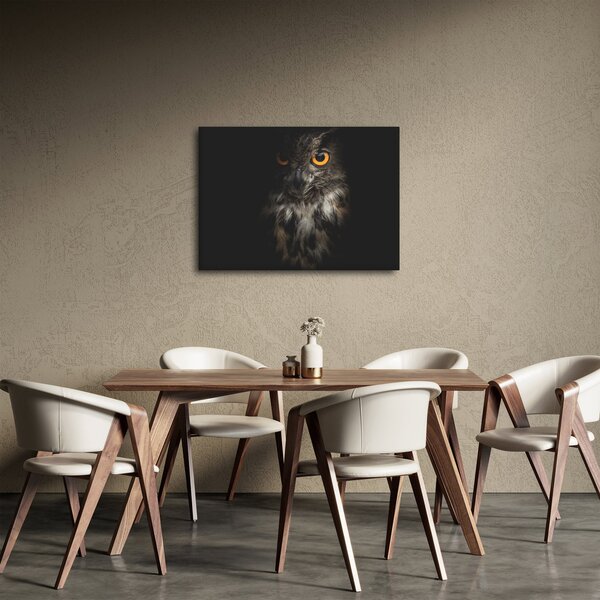 Slika sove (70x50 cm)