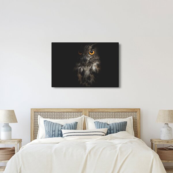 Slika sove (90x60 cm)