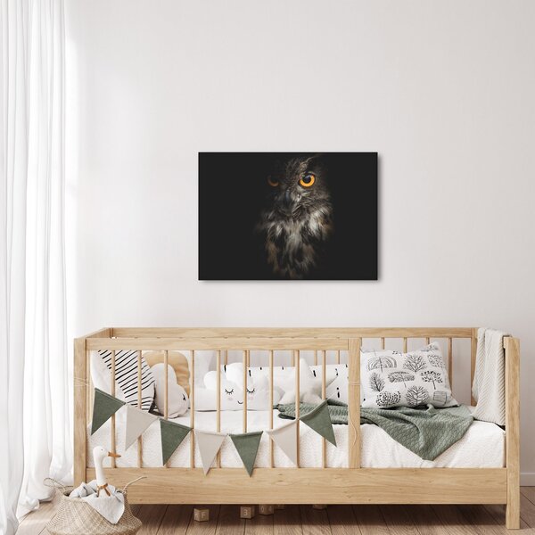 Slika sove (70x50 cm)