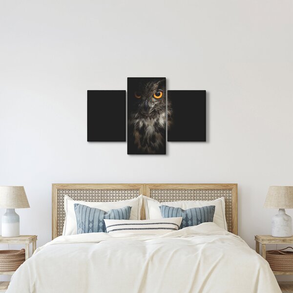 Slika sove (90x60 cm)