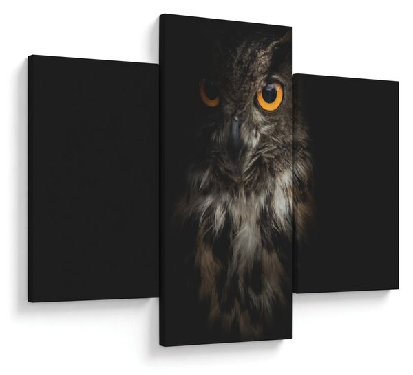 Slika sove (90x60 cm)