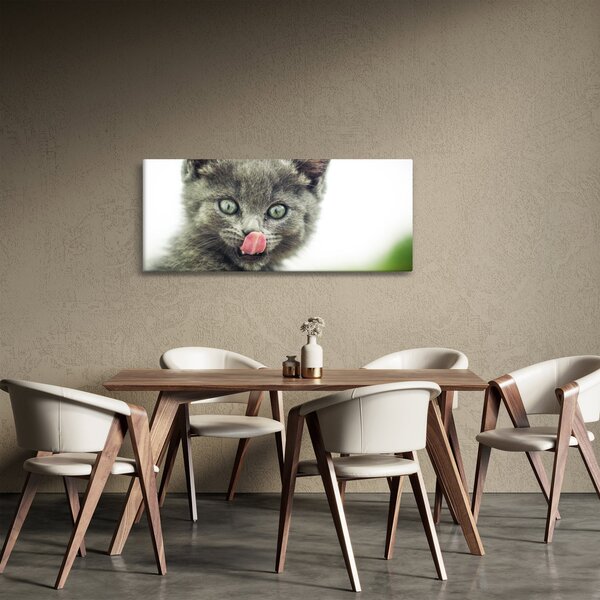 Slika mačića koji se liže (120x50 cm)