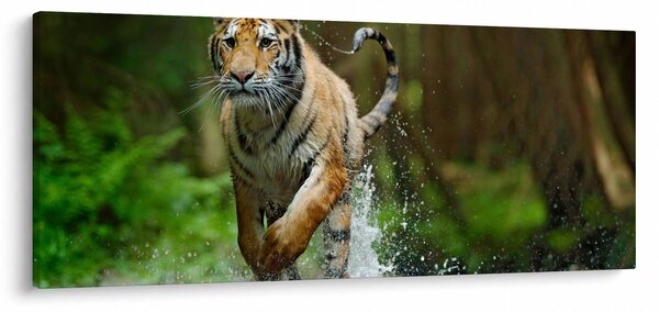 Slika tigra koji trči (120x50 cm)