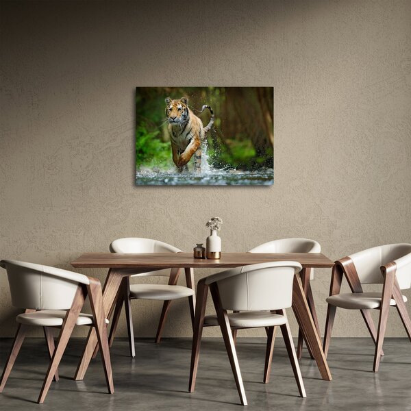Slika tigra koji trči (70x50 cm)
