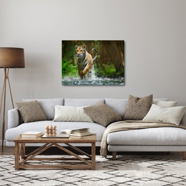 Slika tigra koji trči (70x50 cm)