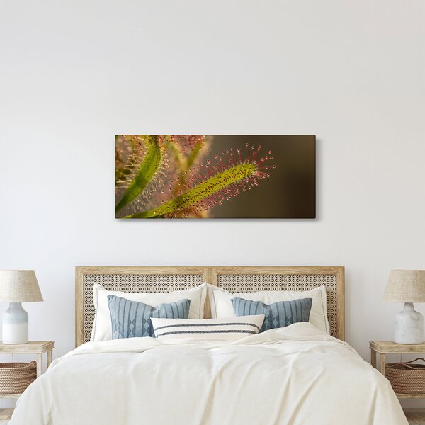 Slika biljke (120x50 cm)