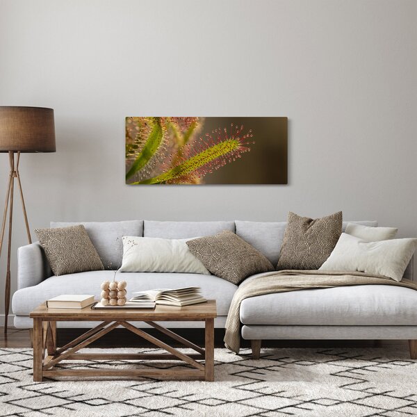 Slika biljke (120x50 cm)
