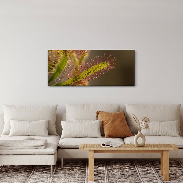 Slika biljke (120x50 cm)