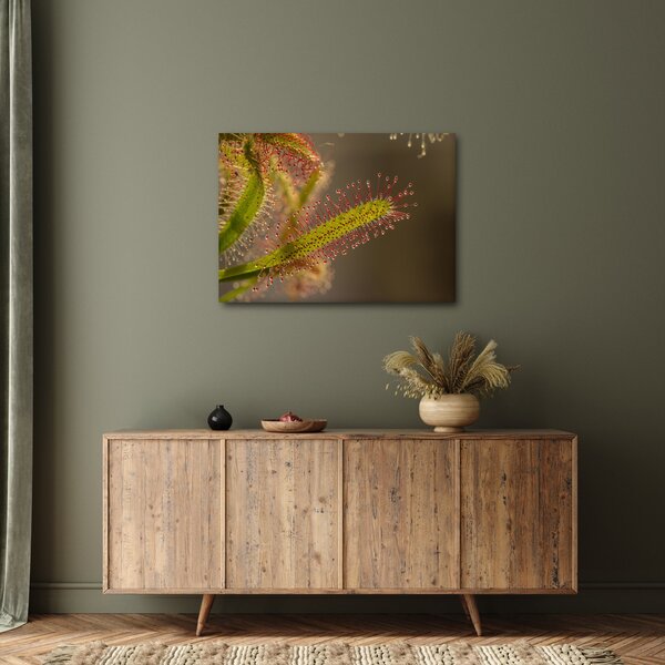 Slika biljke (70x50 cm)