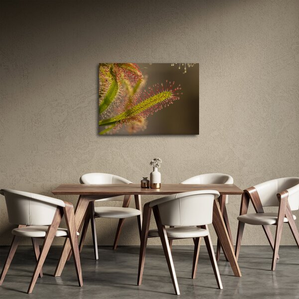 Slika biljke (70x50 cm)