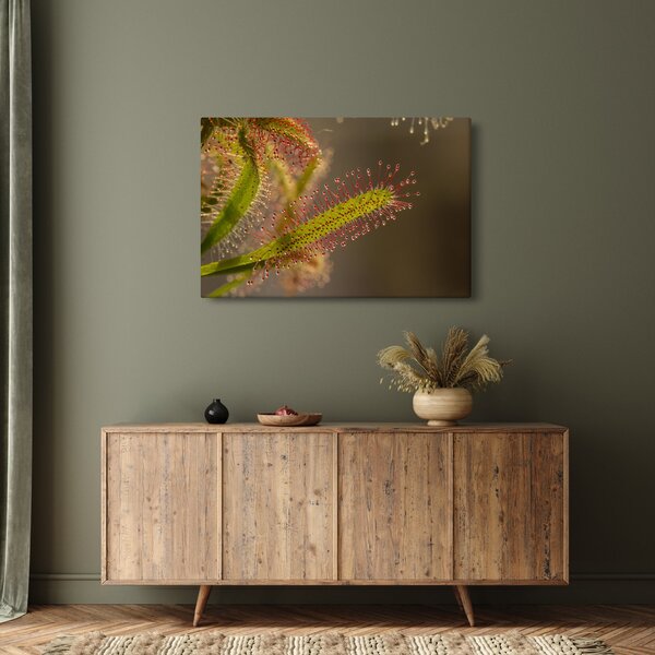 Slika biljke (90x60 cm)