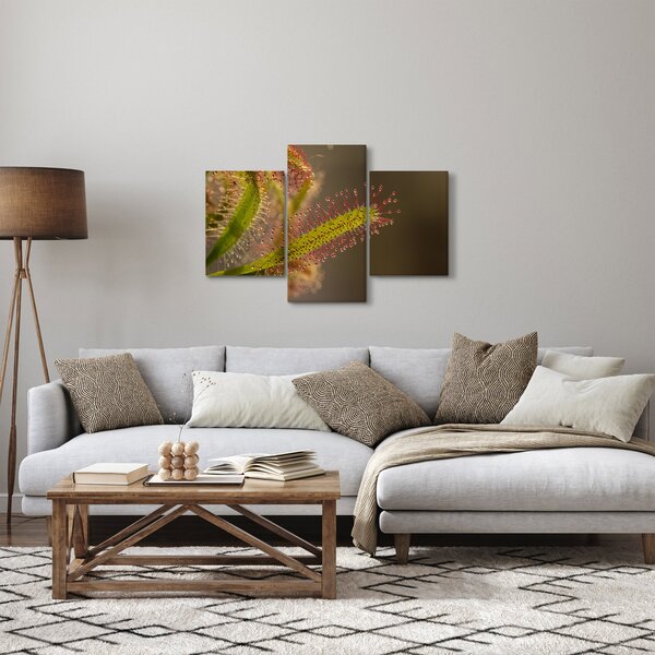 Slika biljke (90x60 cm)