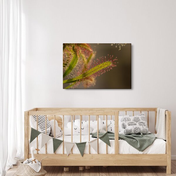 Slika biljke (90x60 cm)