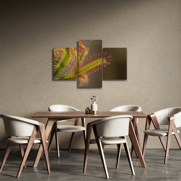 Slika biljke (90x60 cm)