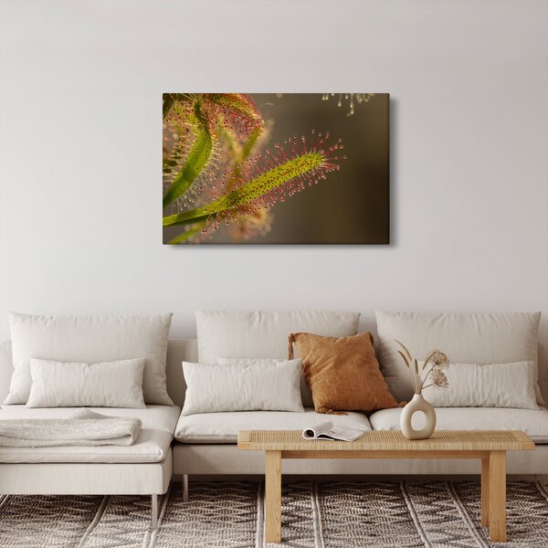 Slika biljke (90x60 cm)