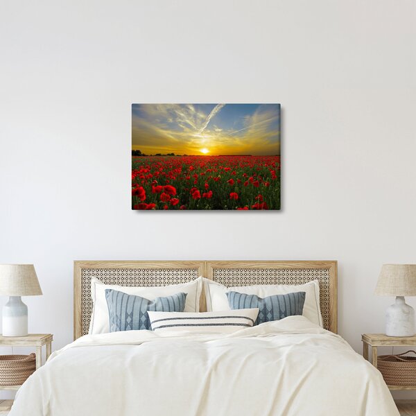 Slika polja maka (70x50 cm)