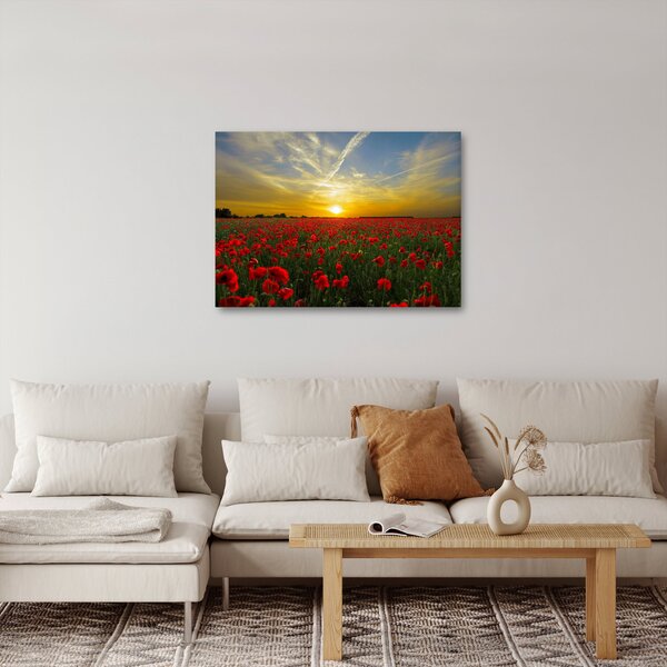 Slika polja maka (70x50 cm)