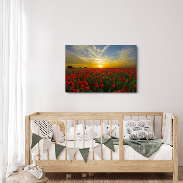 Slika polja maka (90x60 cm)