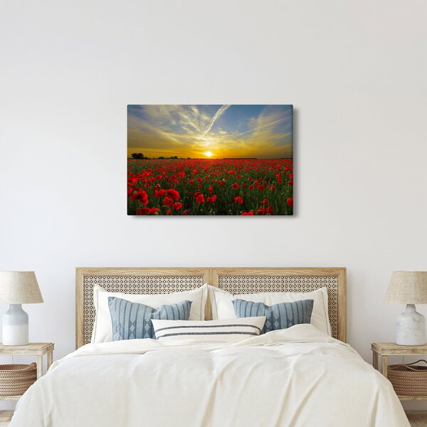 Slika polja maka (90x60 cm)