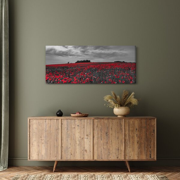 Slika makova (120x50 cm)