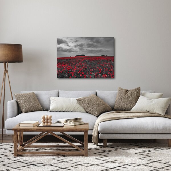 Slika makova (70x50 cm)