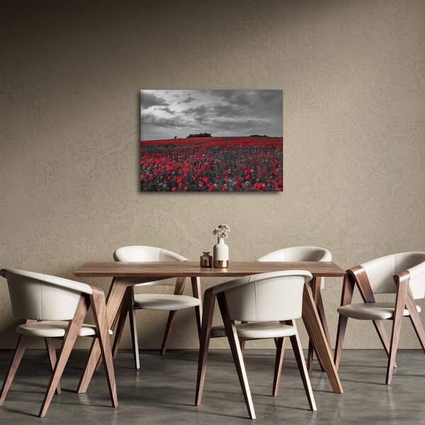 Slika makova (70x50 cm)