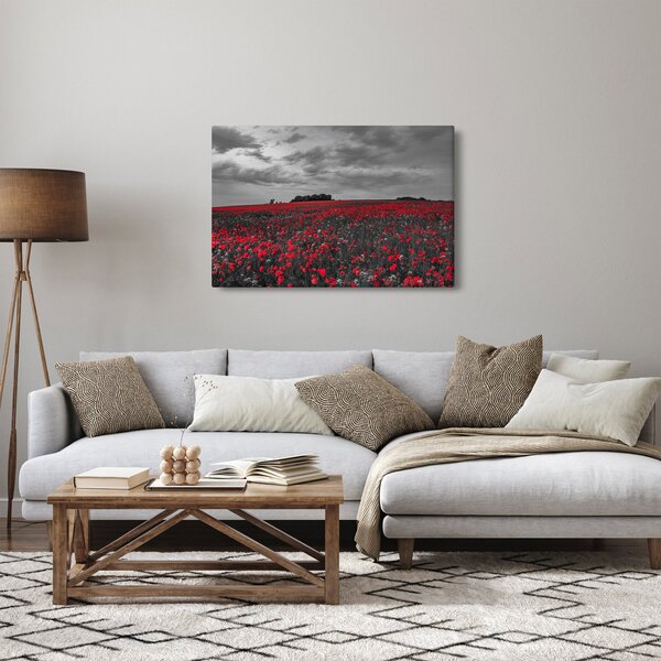 Slika makova (90x60 cm)
