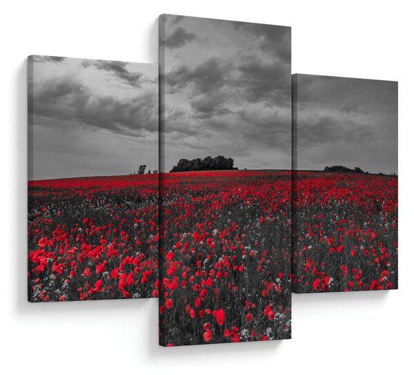 Slika makova (90x60 cm)