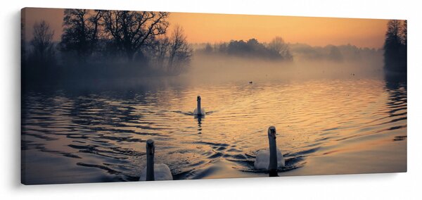 Slika labudova na vodi u magli (120x50 cm)