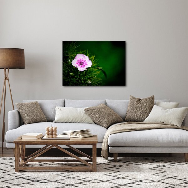 Slika ružičastog cvijeta (70x50 cm)