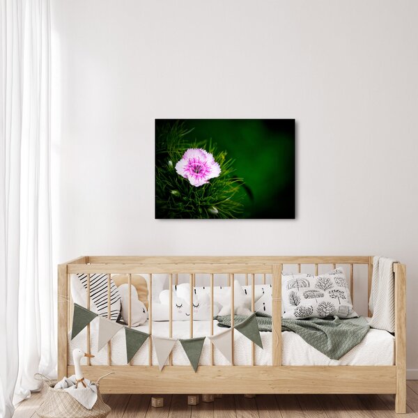 Slika ružičastog cvijeta (70x50 cm)