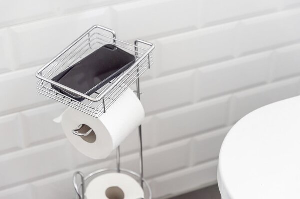 Držač za WC papir od kromiranog čelika u srebrnoj boji – Wenko
