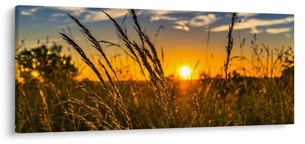 Slika polja pri zalasku sunca (120x50 cm)
