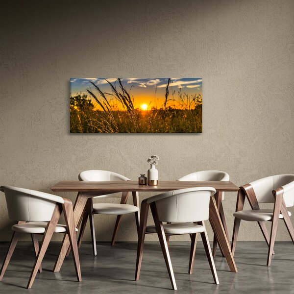 Slika polja pri zalasku sunca (120x50 cm)