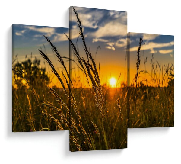 Slika polja pri zalasku sunca (90x60 cm)