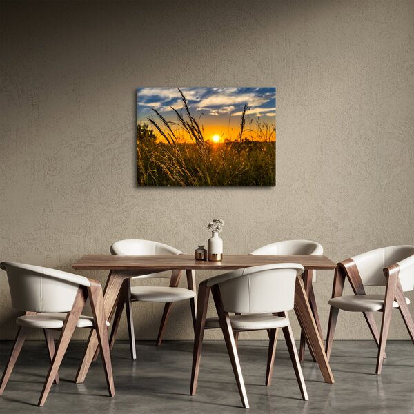 Slika polja pri zalasku sunca (70x50 cm)