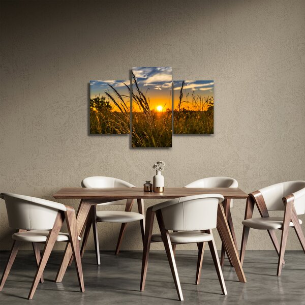 Slika polja pri zalasku sunca (90x60 cm)