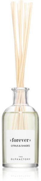Ambientair The Olphactory Citrus & Shades aroma difuzer Forever 100 ml