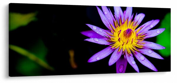 Slika cvijeta (120x50 cm)