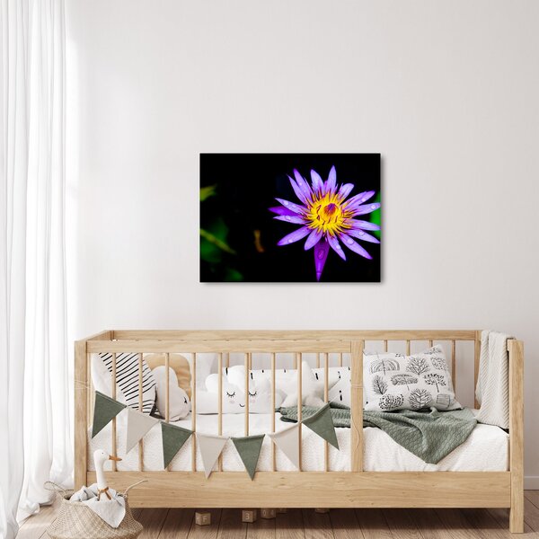 Slika cvijeta (70x50 cm)