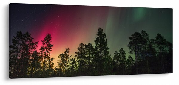 Slika polarne svjetlosti (120x50 cm)