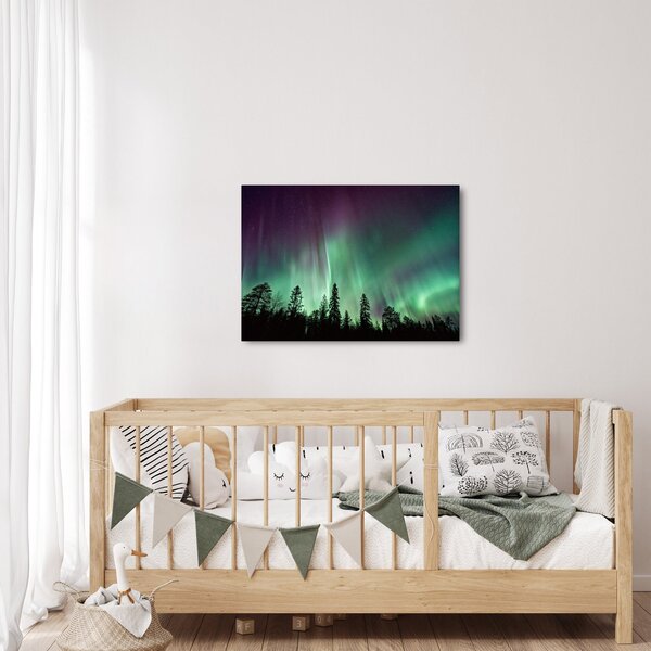 Slika polarne svjetlosti (70x50 cm)