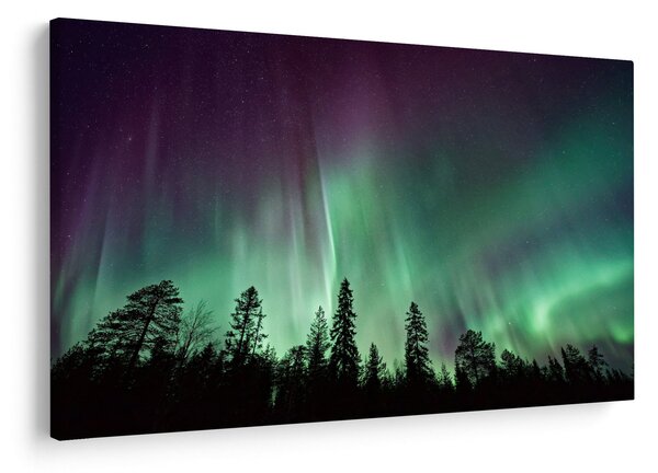Slika polarne svjetlosti (90x60 cm)