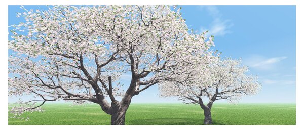 Slika drveća (120x50 cm)
