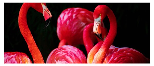 Slika crvenih flaminga (120x50 cm)